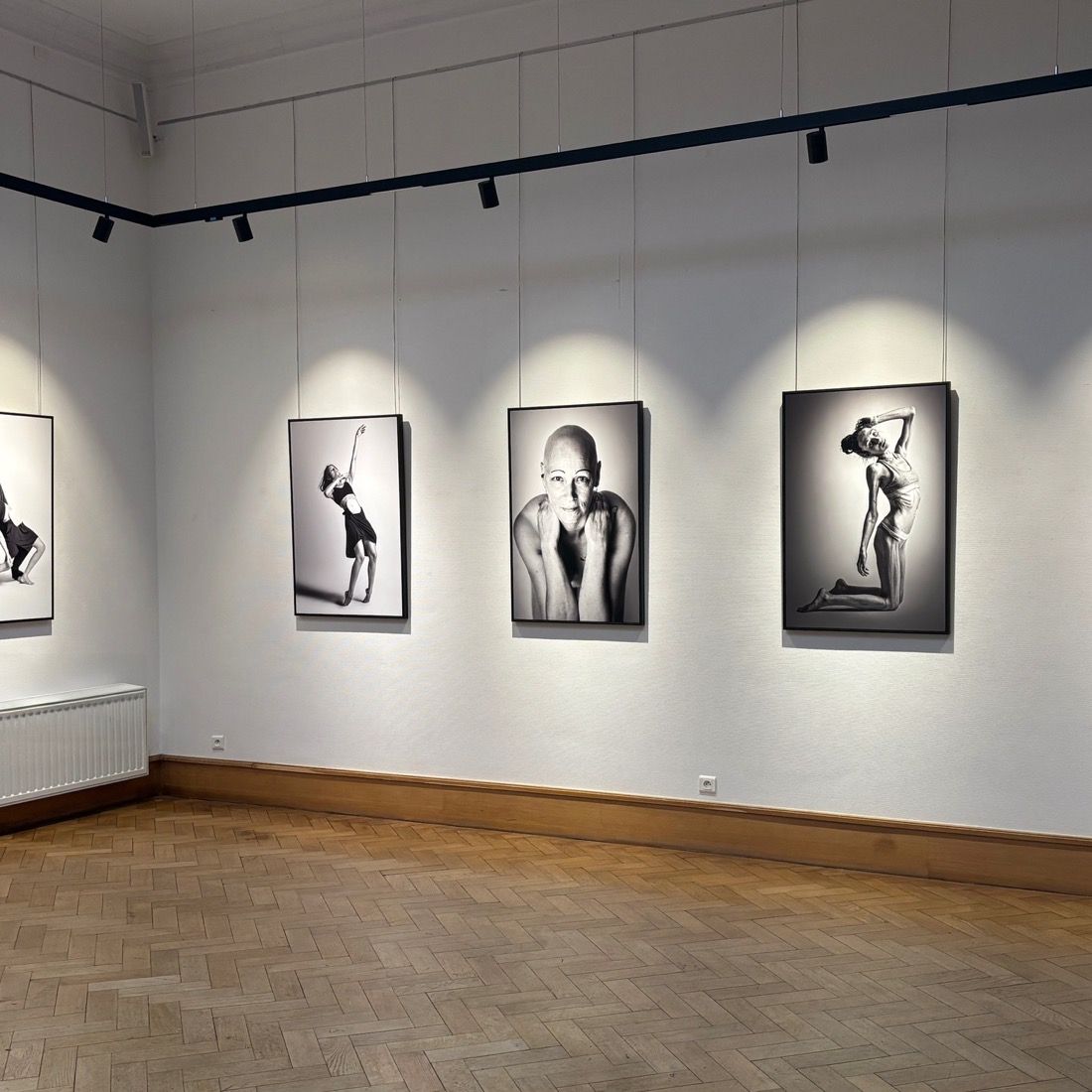 Salle d'exposition à la Maison des Arts d'Uccle, portraits accrochés