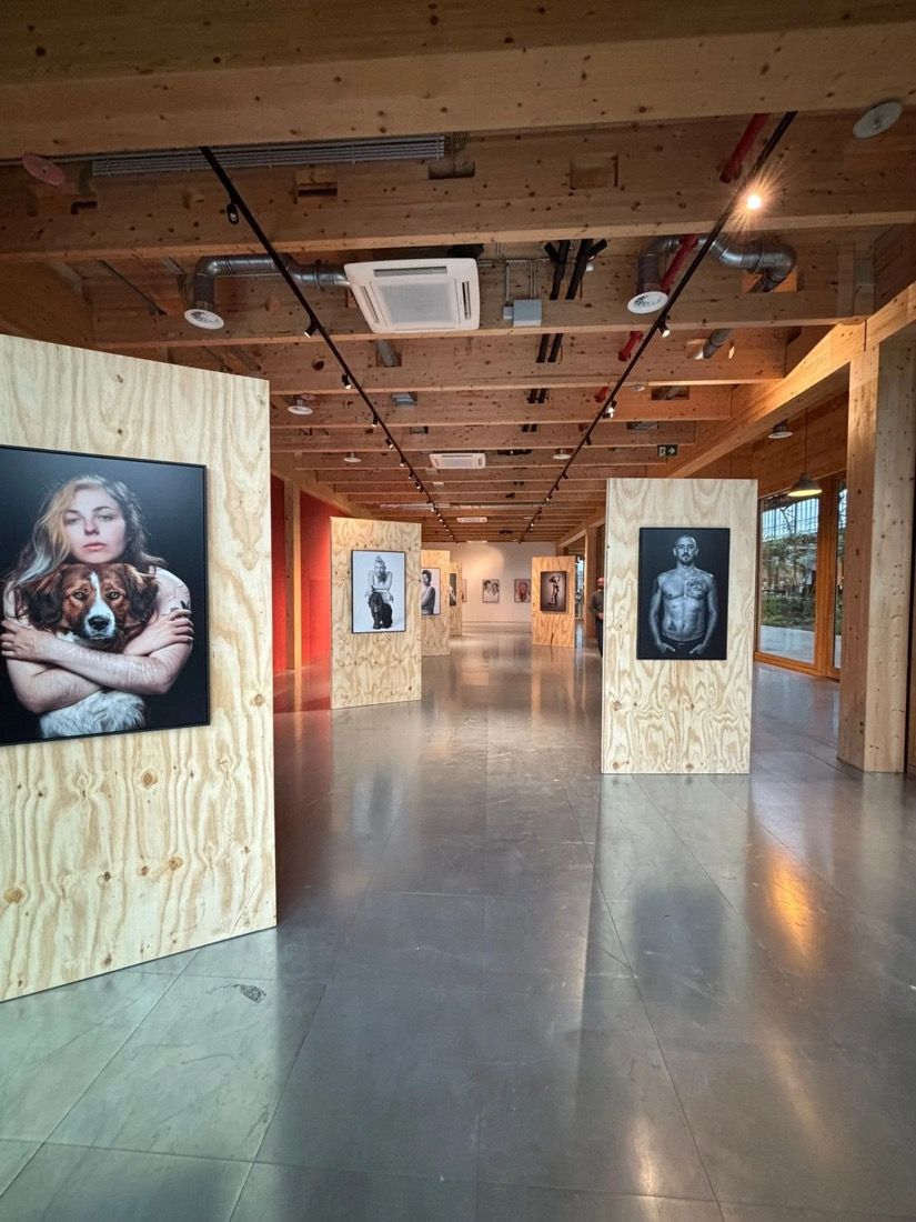 Allée d'exposition à la Gare Maritime, portraits sur panneaux de bois
