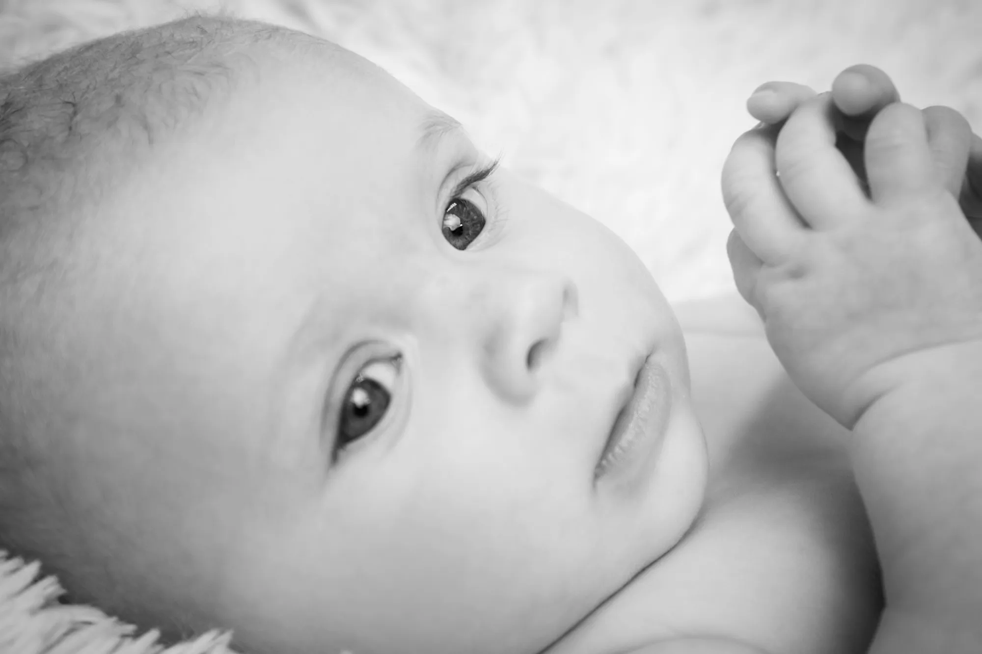 Photograph of a family session by Virginie Deronchêne, portrait photographer in Walloon Brabant