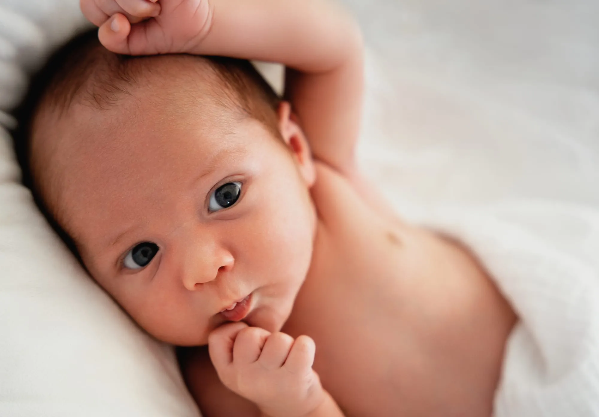 Photograph of a newborn session by Virginie Deronchêne, portrait photographer in Walloon Brabant