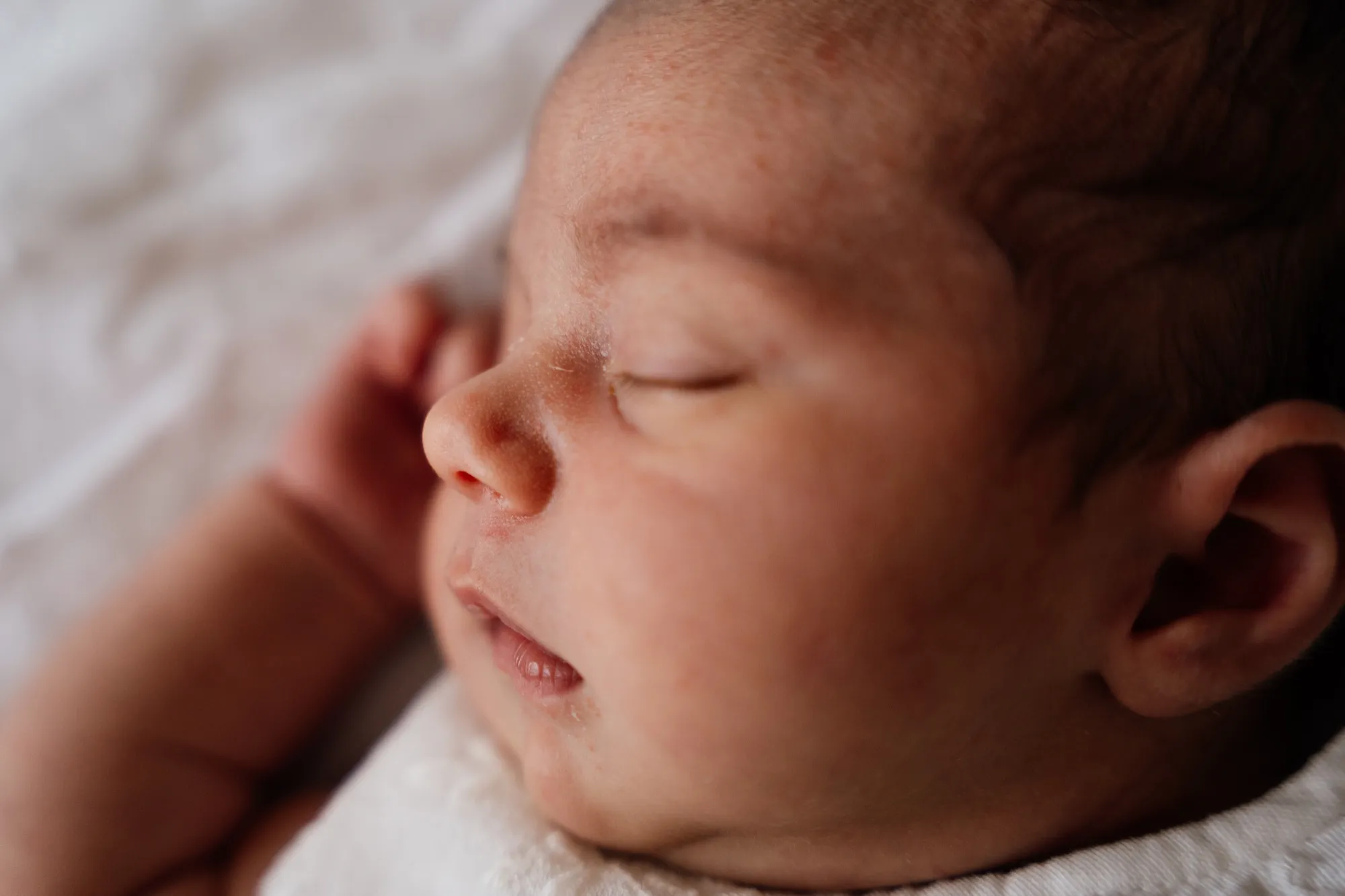 Photograph of a newborn session by Virginie Deronchêne, portrait photographer in Walloon Brabant