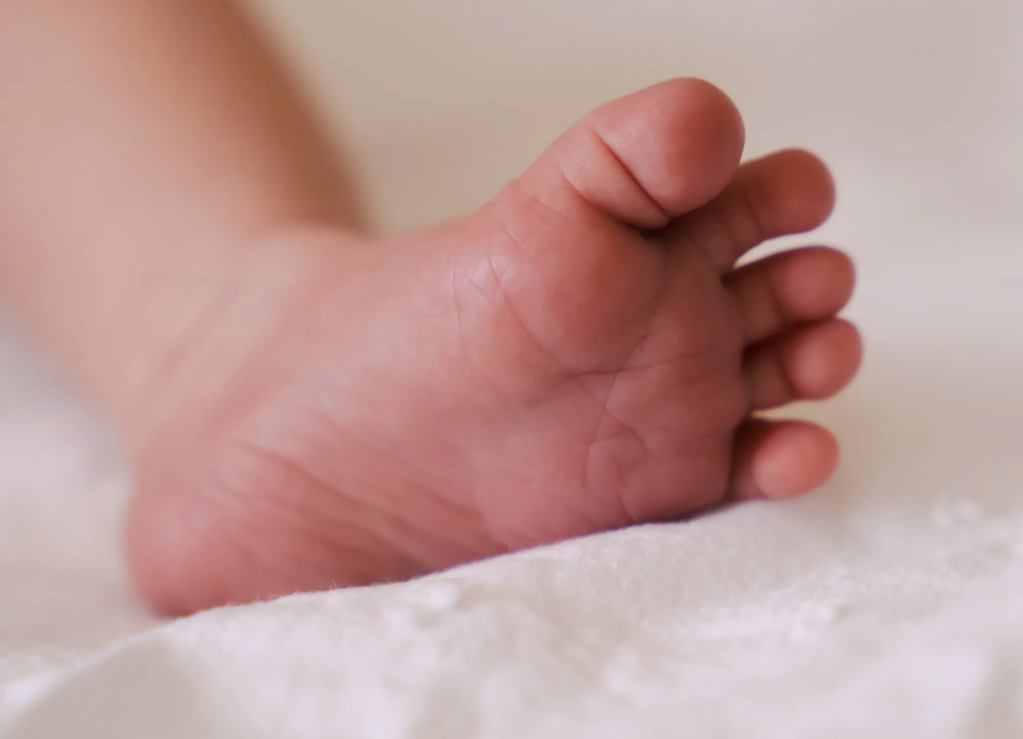 Photograph of a newborn session by Virginie Deronchêne, portrait photographer in Walloon Brabant