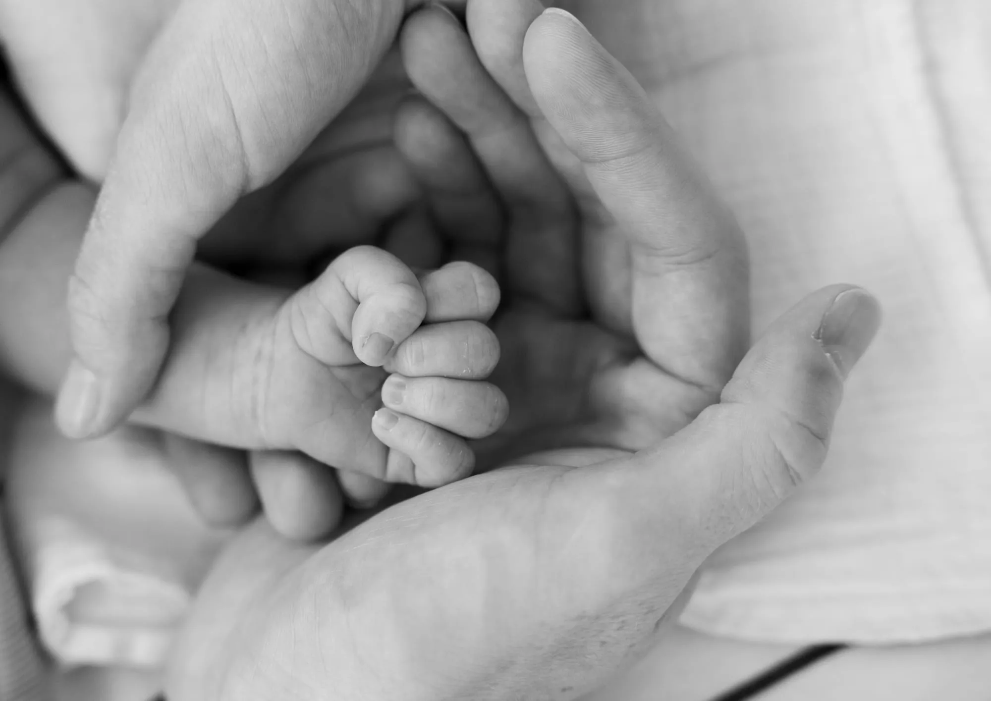 Photograph of a newborn session by Virginie Deronchêne, portrait photographer in Walloon Brabant