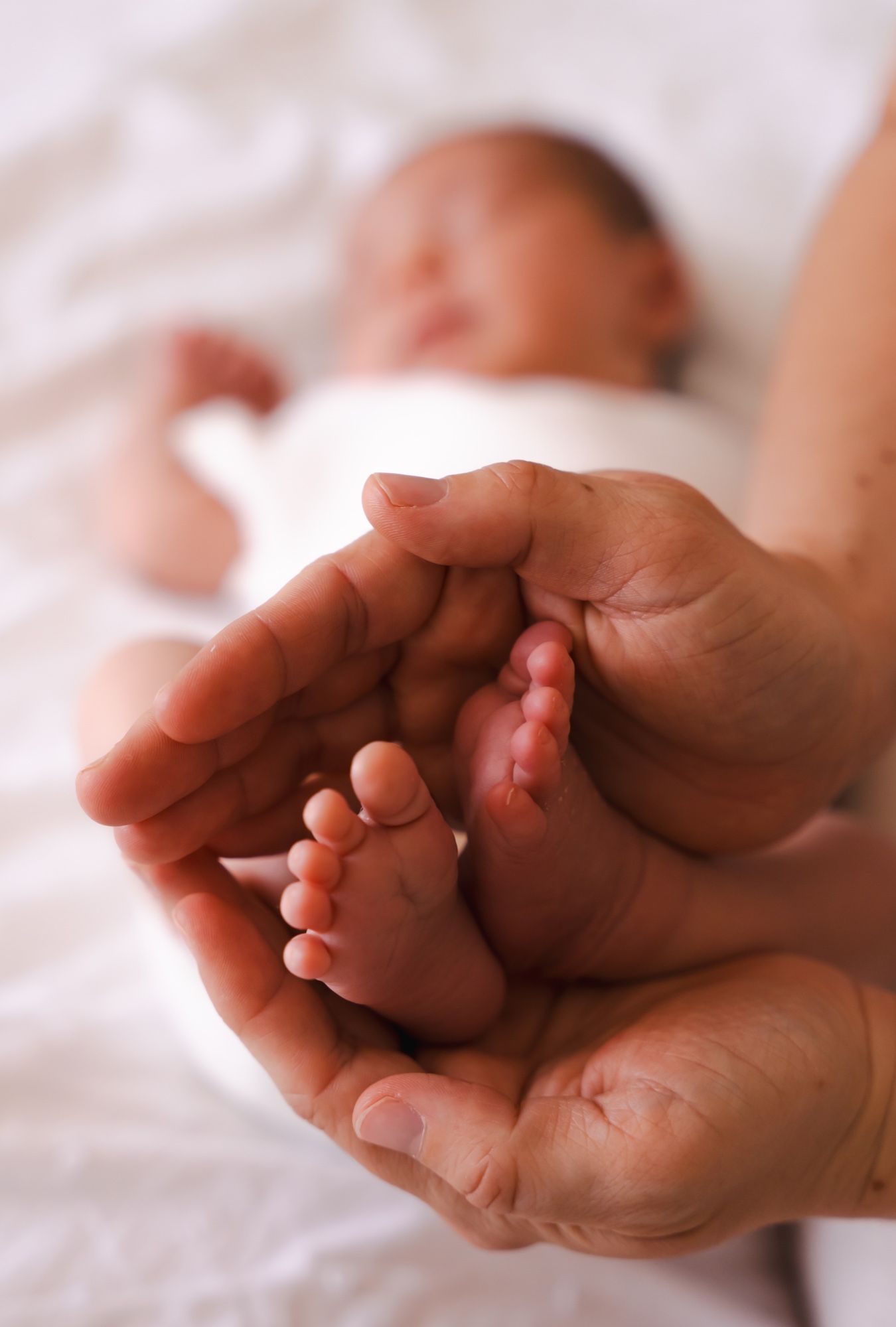 Newborn feet gently cradled in a parent's hands, newborn photo session